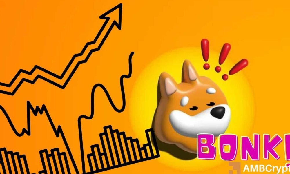 Bonk wp fi 1000x600.jpg