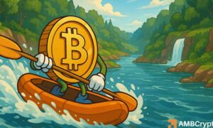 Bitcoin cycle 1000x600.jpg