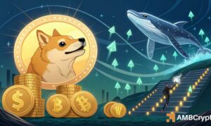 Doge 1000x600.jpg