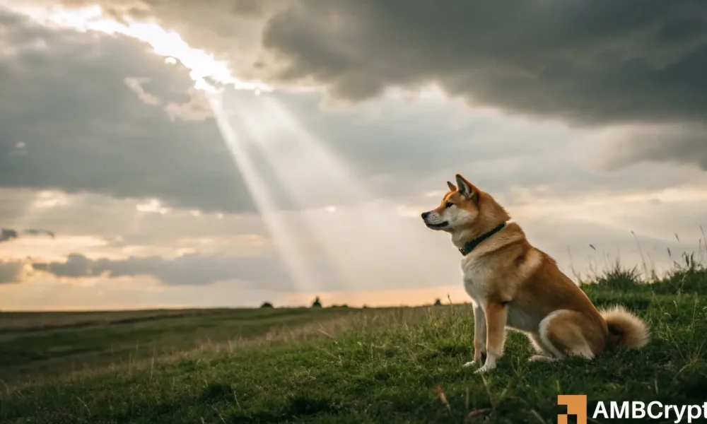 Dogecoin featured 2 1000x600.webp.webp