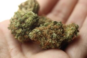 Juíza desconsidera suposta confissão e desclassifica tráfico para porte de drogas