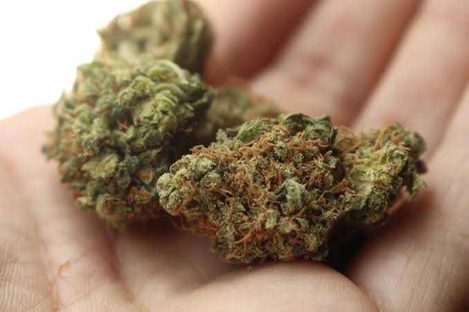 Juíza desconsidera suposta confissão e desclassifica tráfico para porte de drogas