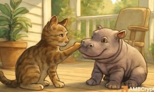 Moodeng mew crypto 1000x600.jpg