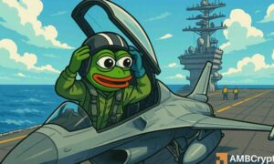 Pepe wp fi 1000x600.jpg
