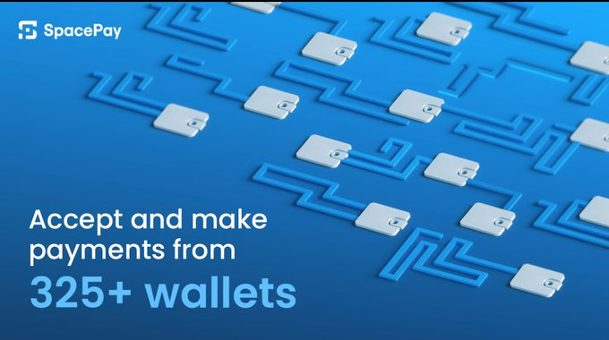 SpacePay-Presale