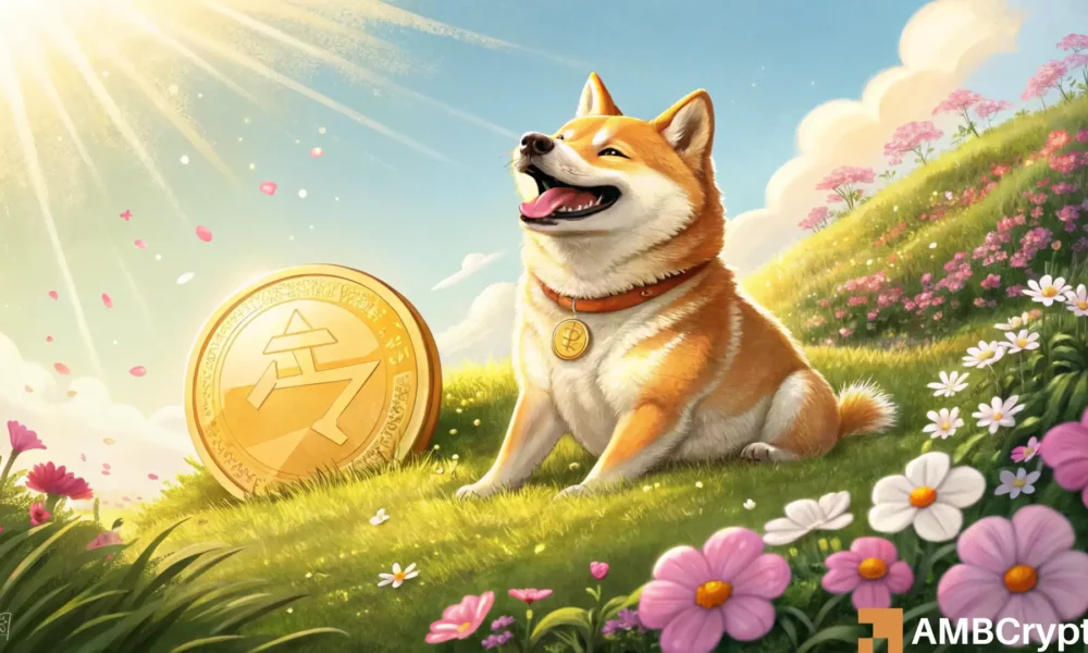 Shiba inu featured 1000x600.webp.webp