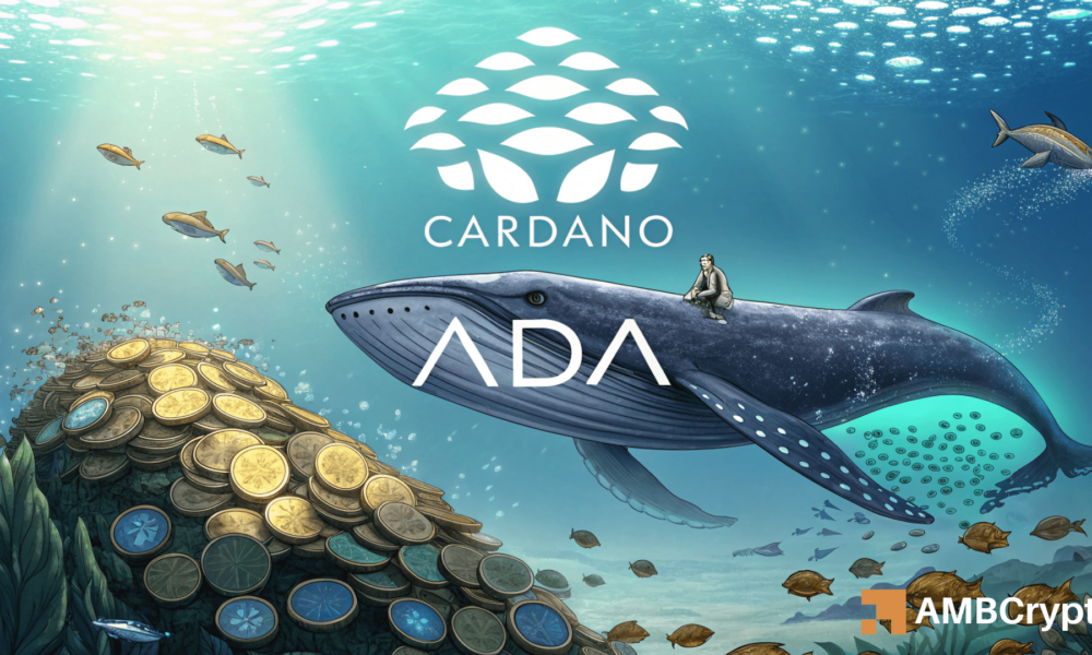 Cardano Whales vai All-In com 120 mln Ada pegada: Isso despertará um comício?
